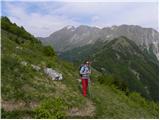 Krn - Mrzli vrh above Planina Pretovč